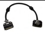 IceMap Noggin Cable 2.5' (0.75m) with Latches